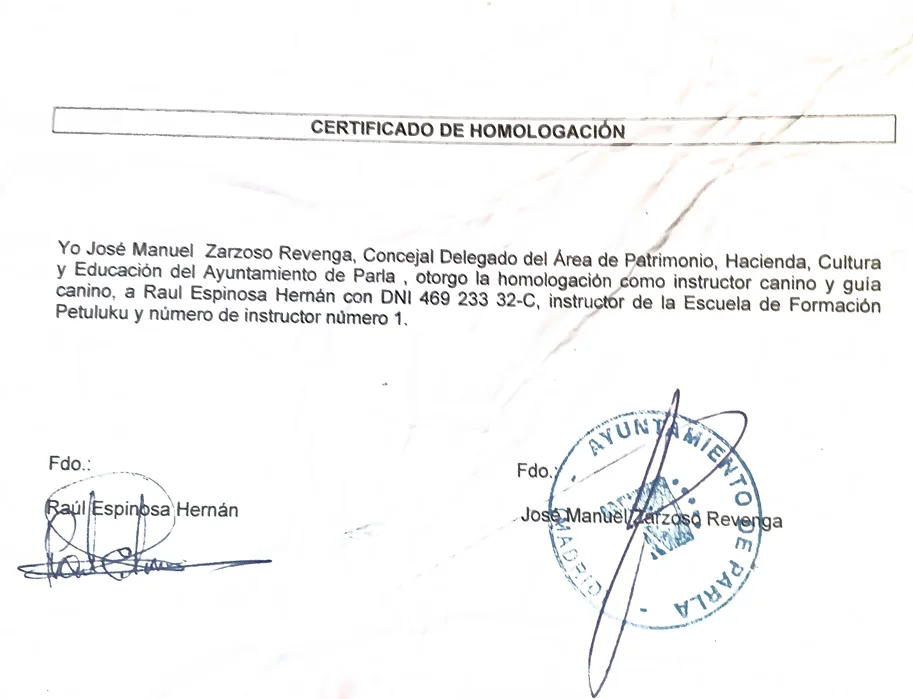 Certificado de instructor homologado por el Ayuntamiento de Parla