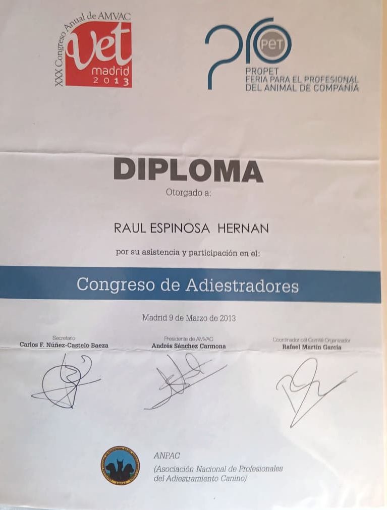 Diploma de ANPAC otorgado a Raúl Espinosa Hernán por el Congreso de Adiestradores en Madrid, 9 de marzo de 2013.
