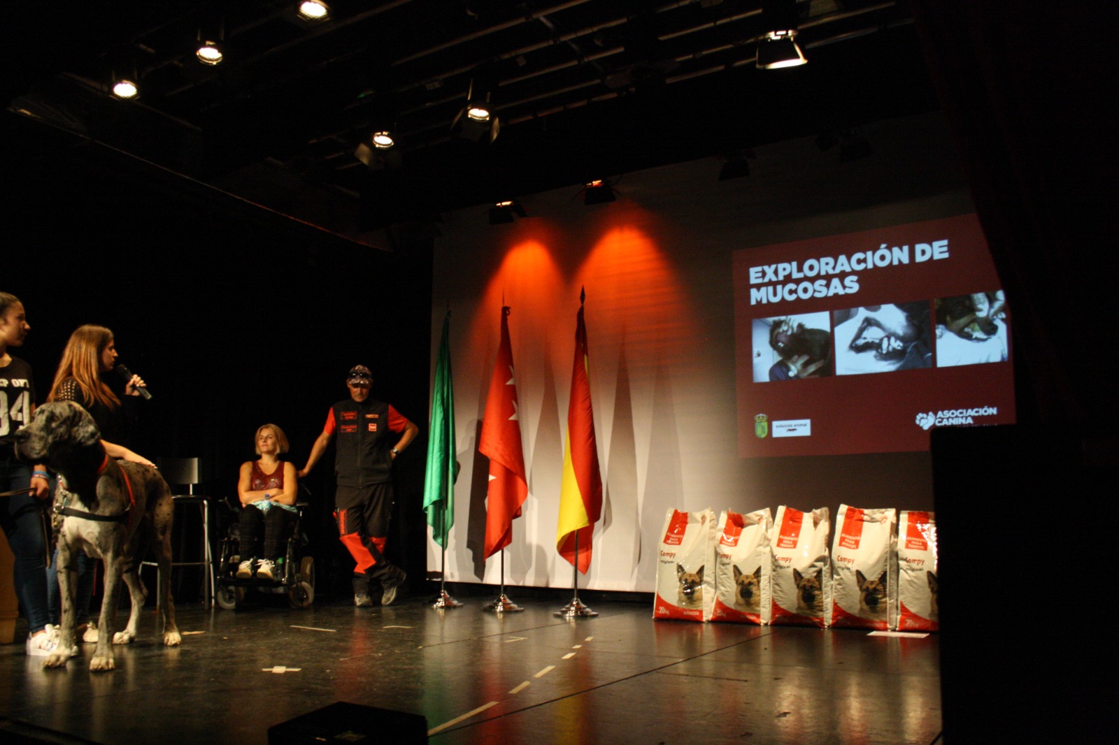 Escenario oscuro con personas, perros y una pantalla iluminada al fondo.