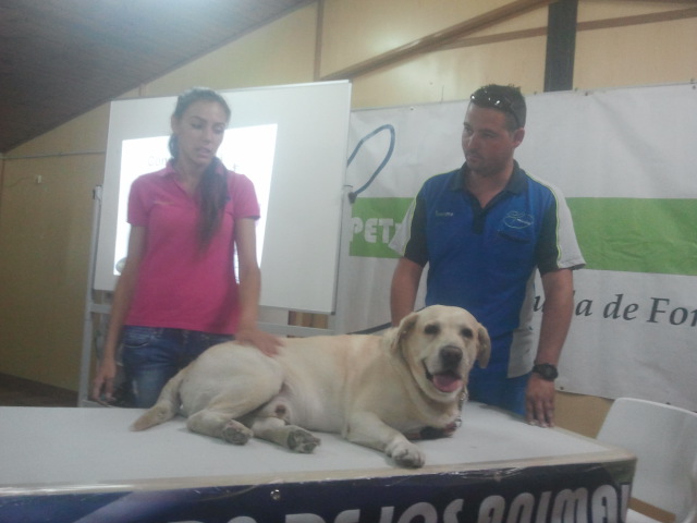 Dos personas detrás de un perro claro tumbado sobre una mesa o plataforma.
