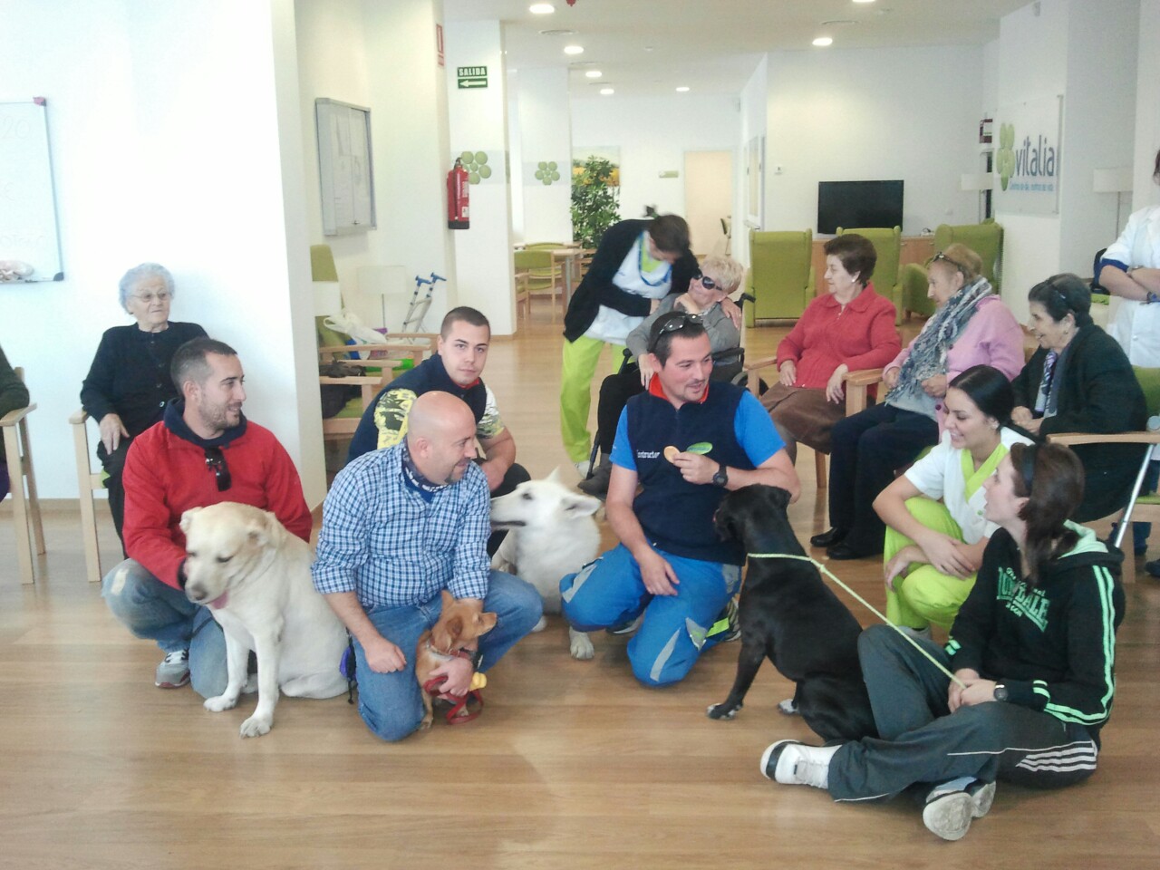 Grupo sentado en una sala con varios perros.