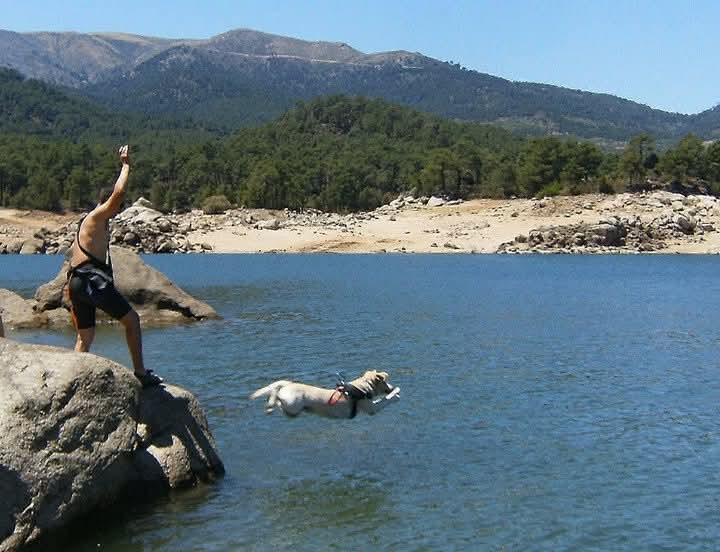 Persona sobre unas rocas junto al agua; otra figura nada cerca de la orilla.