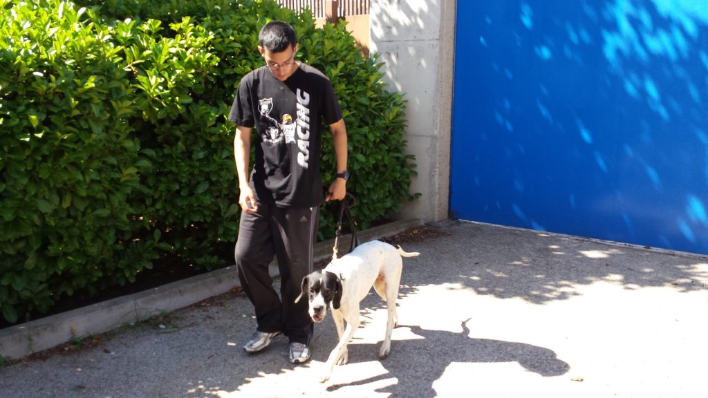 Hombre sostiene la correa de un perro blanco y negro frente a un seto y una pared azul.