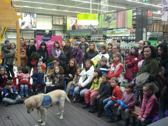 Varias personas sentadas en filas dentro de una sala, con un perro de pie y pantallas al fondo.