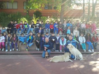Grupo de personas con ropa colorida frente a un edificio, con dos perros claros en primer plano.