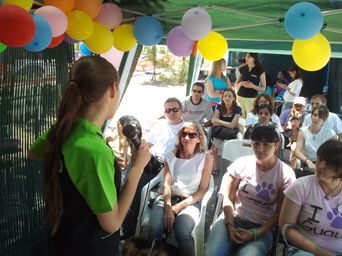 Varias personas sentadas en el césped conversan; un hombre de pie sostiene un objeto y hay un perro junto al grupo.