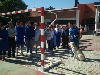 Personas con ropa azul reunidas en un patio junto a un perro claro y una estructura de postes rojos y blancos.
