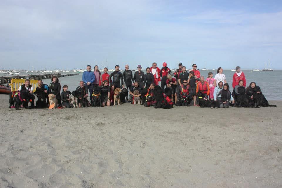 Grupo de personas en aguas poco profundas junto a la orilla.