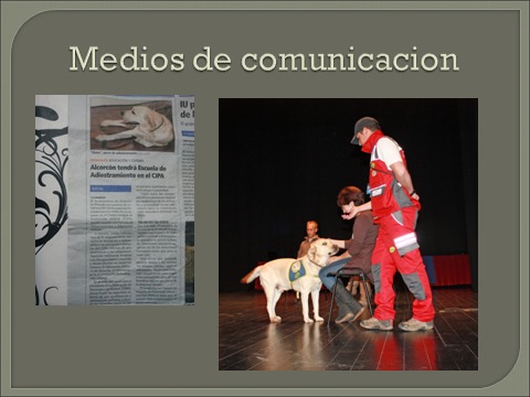 WhatsApp Image 2026-09-09 at 08.09.28 (1)