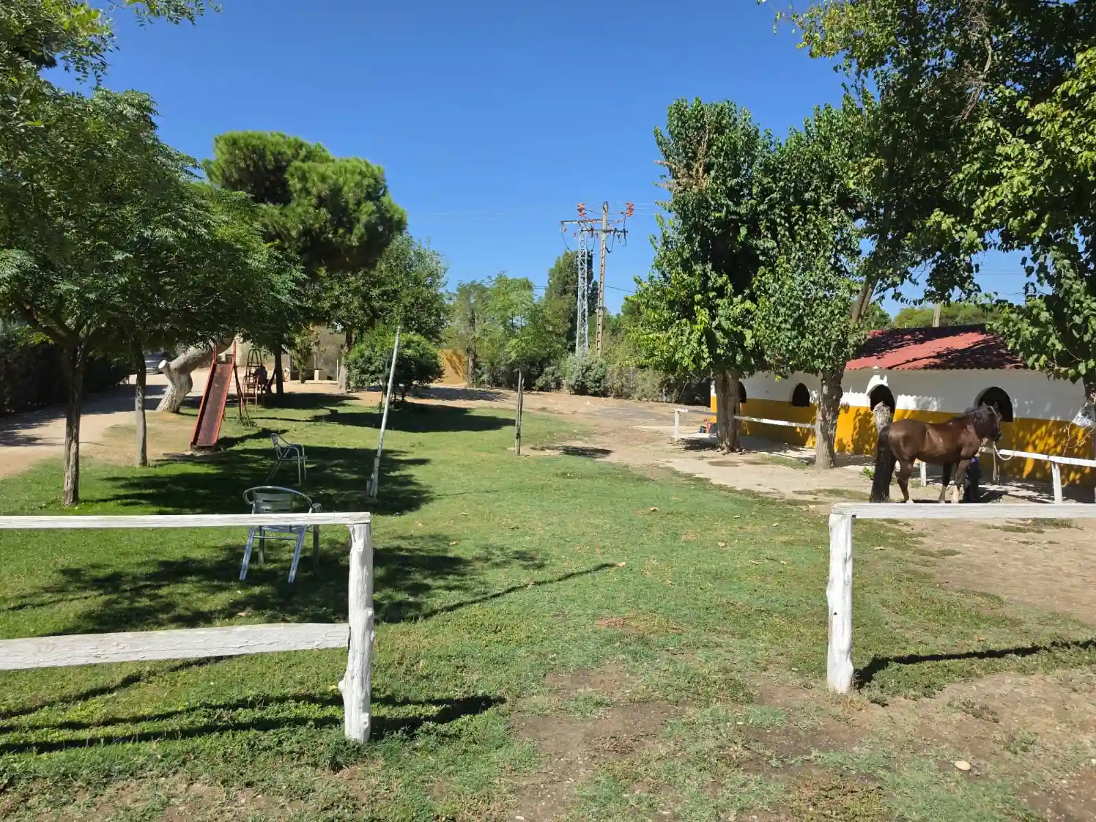 Zona de césped con barras bajas para actividades de entrenamiento.