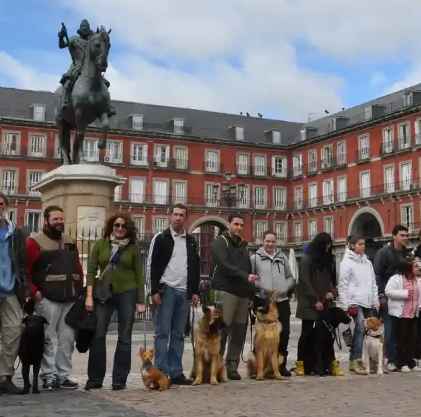 Clase de obediencia civil en la Escuela Canina Guau Madrid
