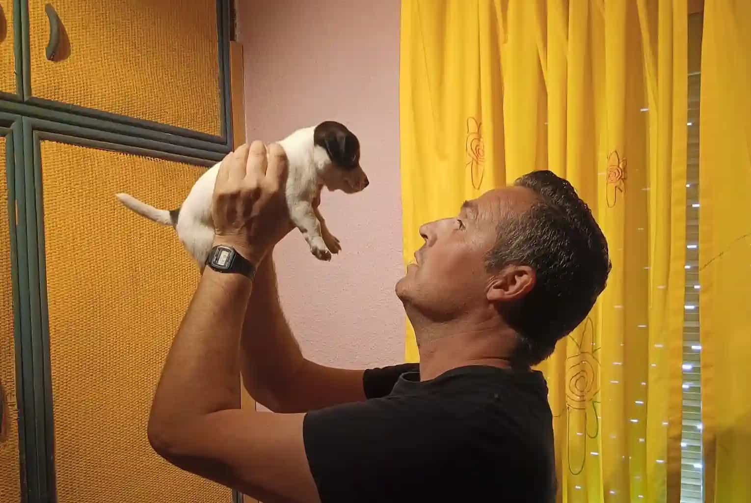 Pista de adiestramiento de la escuela canina Guau Madrid en Alcorcón