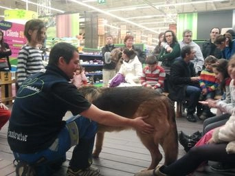 Foto real de un taller de educación canina en Guau Madrid Alcorcón
