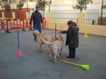 Foto real de un taller de la Escuela Canina Guau Madrid