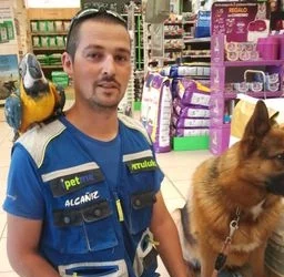 Foto real de un taller de la Escuela Canina Guau Madrid