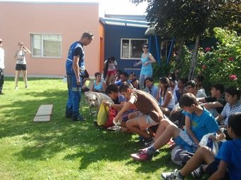Foto real de un taller de la Escuela Canina Guau Madrid