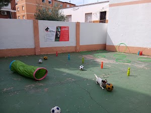 Foto de ubicación de ESCUELA GUAU MADRID