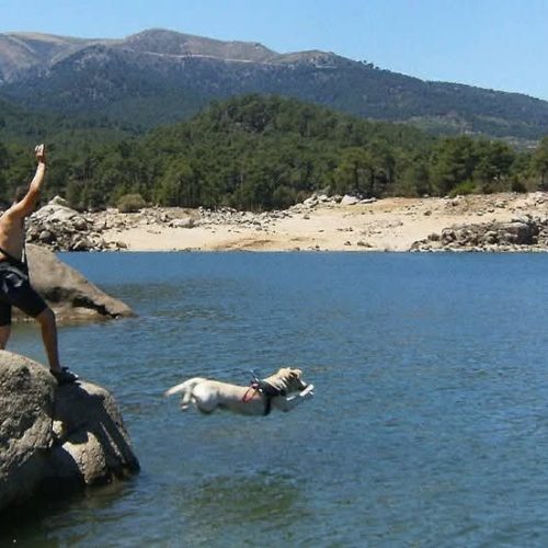 Persona sobre unas rocas junto al agua; otra figura nada cerca de la orilla.